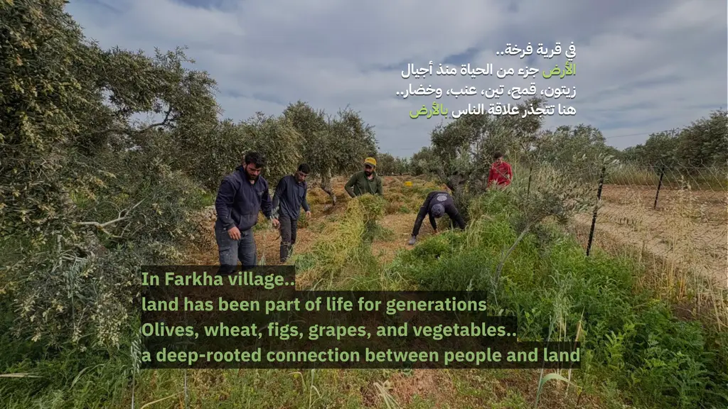 Farkha agricultural revival: protecting crops, feeding families
