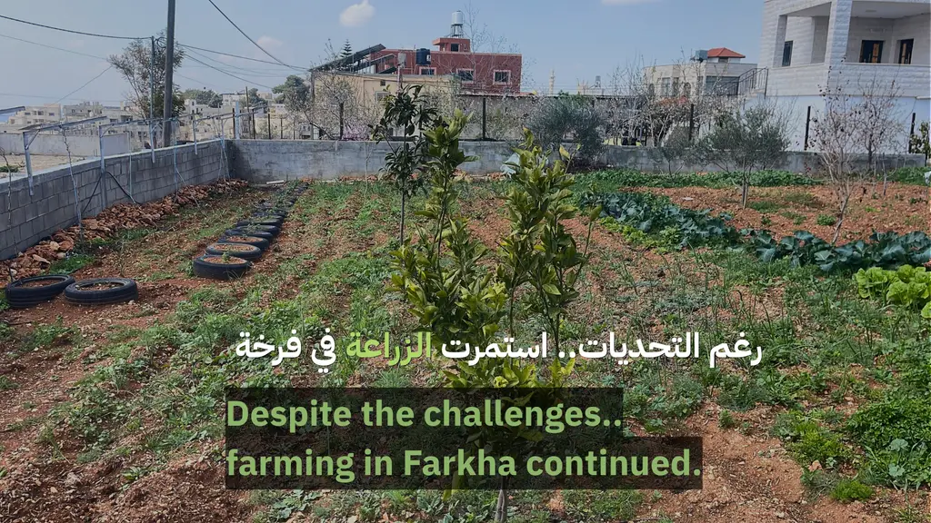 Farkha agricultural revival: protecting crops, feeding families