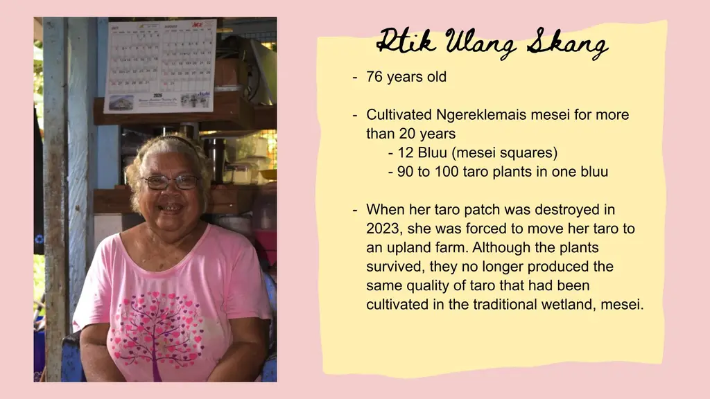 Restoring Mesei, Cultural Taro Patches, in Ollei, Palau