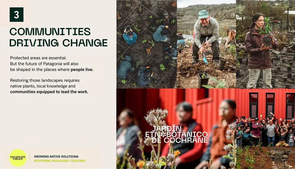  Triple Impact Nursery ― A Regeneration Hub for Patagonia, Chile