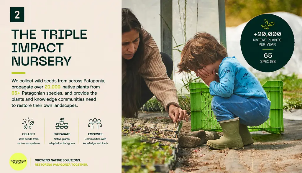  Triple Impact Nursery ― A Regeneration Hub for Patagonia, Chile
